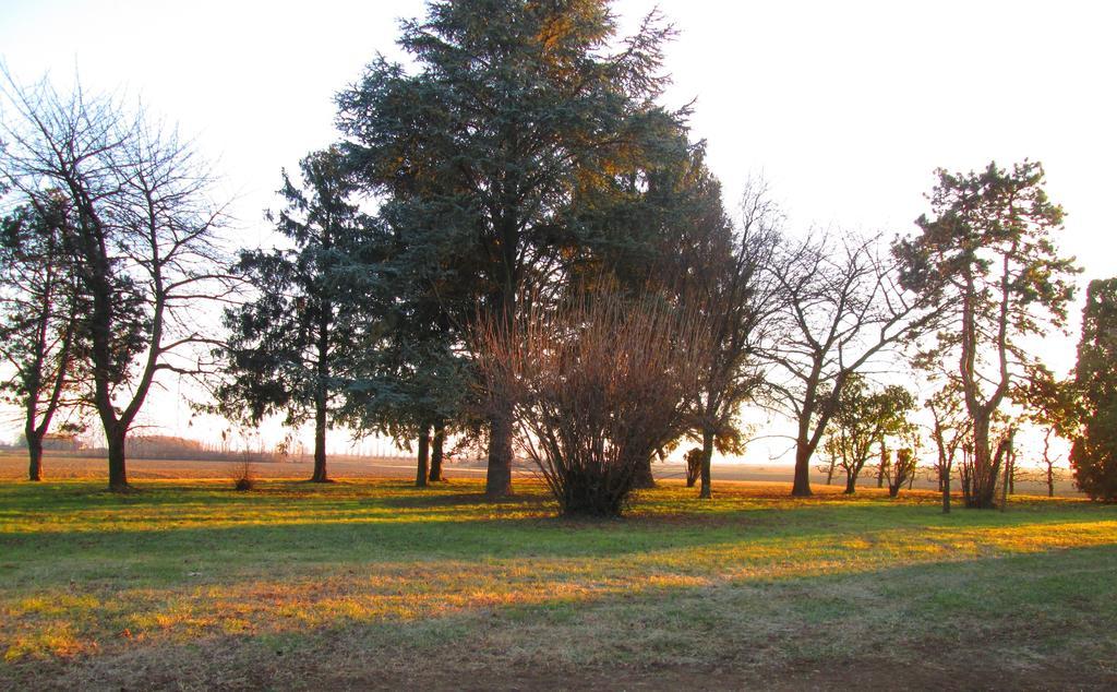 La Centuria Societa Agricola Casa Vacanze Terzo d' Aquileia Exteriér fotografie