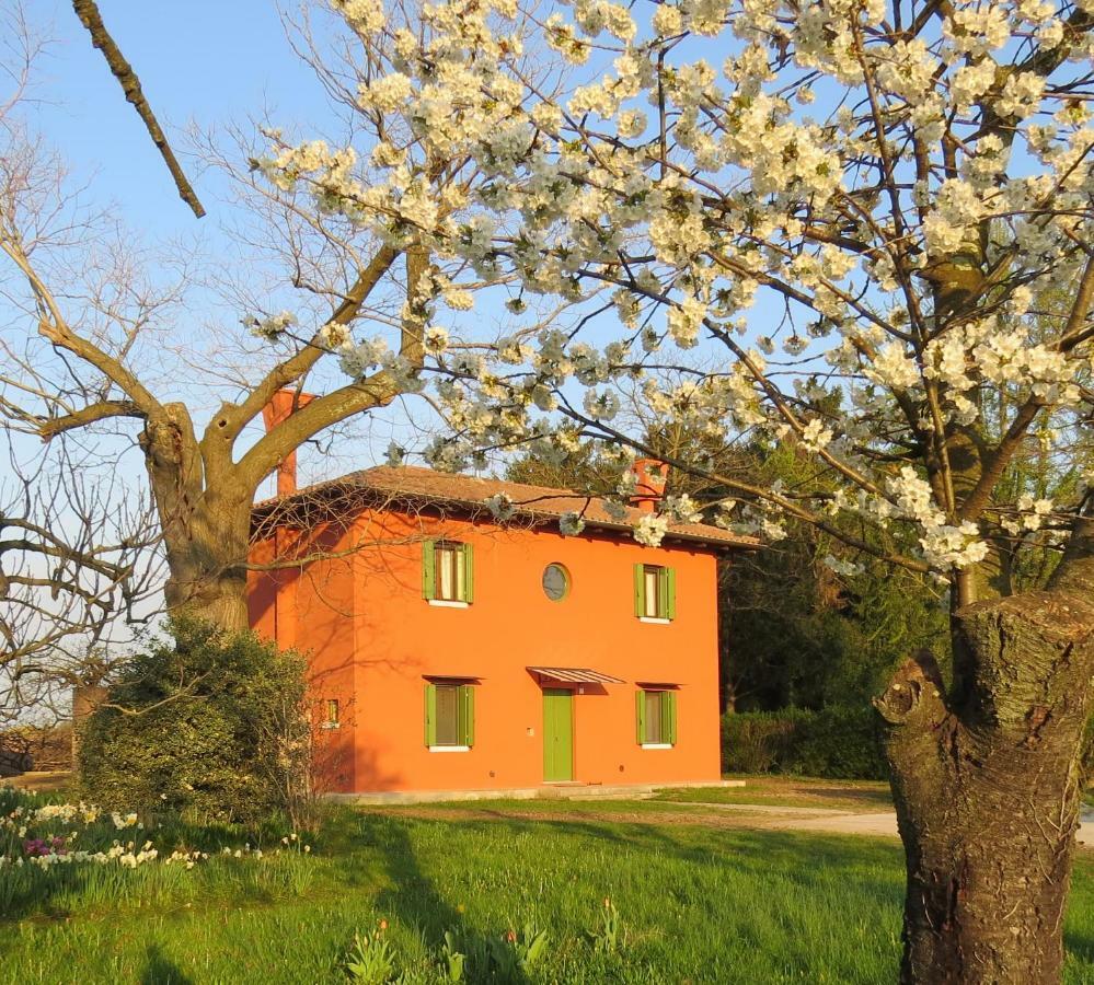 La Centuria Societa Agricola Casa Vacanze Terzo d' Aquileia Exteriér fotografie
