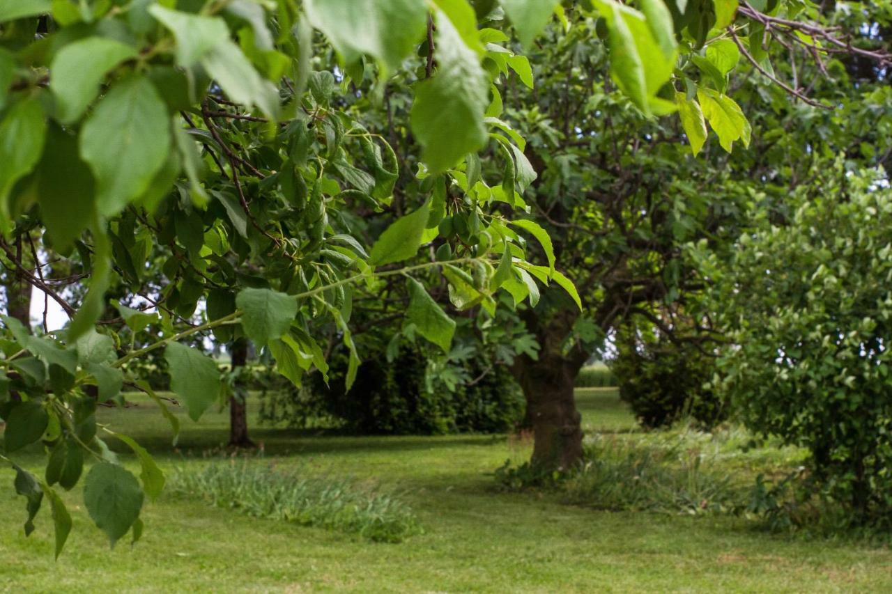 La Centuria Societa Agricola Casa Vacanze Terzo d' Aquileia Exteriér fotografie